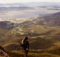 Mt Wellington Half Day Guided Summit Hike