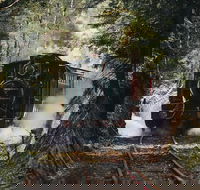 West Coast Wilderness Railway River and Rainforest from Strahan - Accommodation Southport