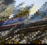 West Coast Wilderness Railway Queenstown Explorer from Strahan - Accommodation Southport