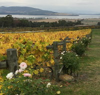 Mona and Wine Experience Tour