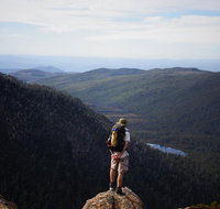 Mount Field National Park - Tarn Shelf  Russell Falls - Guided Hiking Tour
