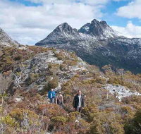 5-Day Tasmania West Coast Camping Tour Hobart to Launceston Including Mount Field National Park Tarkine and Cradle Mountain