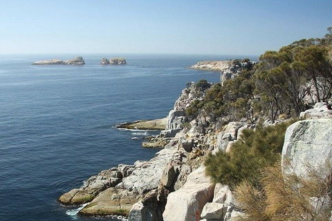 Great Walks Of Australia: 4-Day Freycinet Experience Walk - Southport Accommodation 10