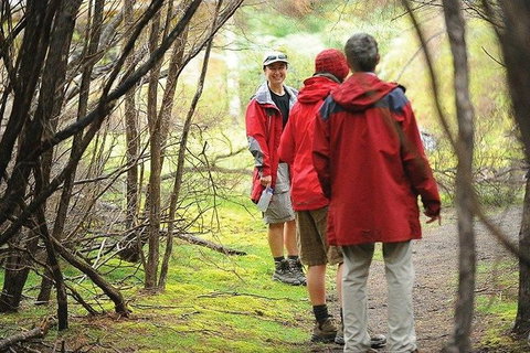 Great Walks Of Australia: 4-Day Freycinet Experience Walk - Southport Accommodation 7