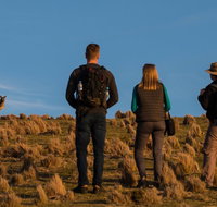 Small Group Tasmanias Wilderness And Wildlife Day Tour