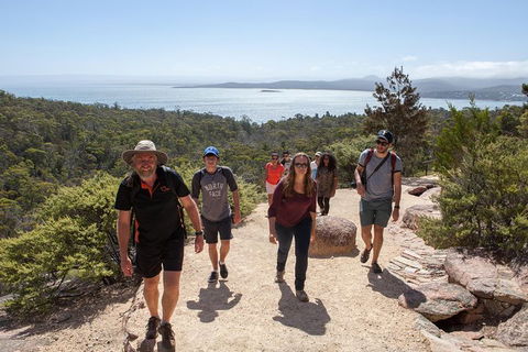 Active Day Tour One-Way From Hobart To Launceston With Wineglass Bay - Southport Accommodation 1
