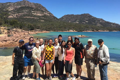 Active Day Tour One-Way From Hobart To Launceston With Wineglass Bay - Southport Accommodation 10
