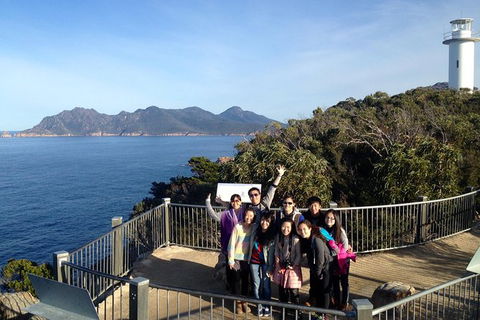 Active Day Tour One-Way From Hobart To Launceston With Wineglass Bay - Southport Accommodation 6