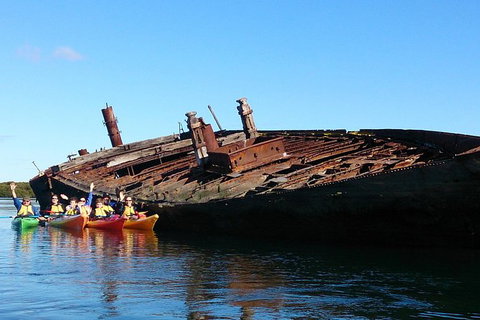 Adelaide Dolphin Sanctuary And Ships Graveyard Kayak Tour - Accommodation Southport 1
