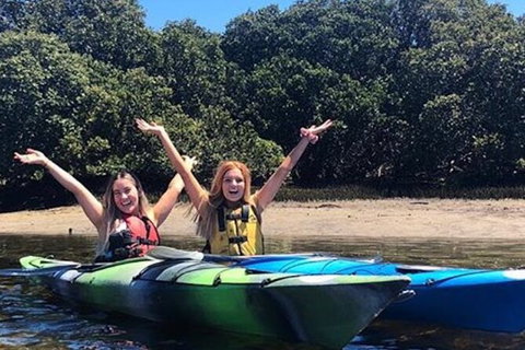 Adelaide Dolphin Sanctuary And Ships Graveyard Kayak Tour - Accommodation Southport 4