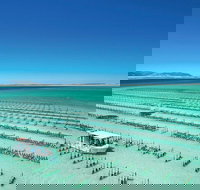 Coffin Bay Private Day Tour from Port Lincoln - A Taste of Coffin Bay - Accommodation Southport