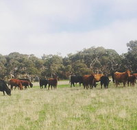 Waitpinga Farm Quad-Bike Tour