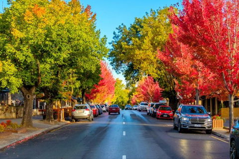 Adelaide City Highlights With Hahndorf And Mt. Lofty - Southport Accommodation 7