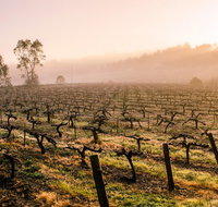 Barossa Valley Private Tour It's your tour the way you want it.