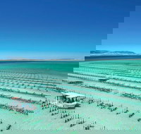 Coffin Bay Day Tour - A Taste of Coffin Bay - Accommodation Southport