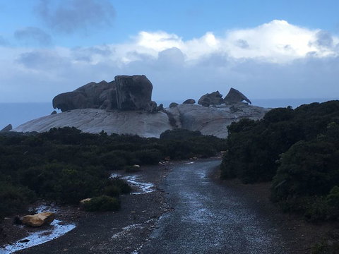 2-Day Kangaroo Island Tour From Adelaide - Southport Accommodation 20