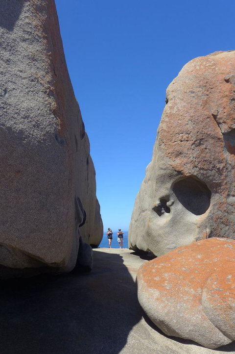 2-Day Kangaroo Island Tour From Adelaide - Southport Accommodation 7