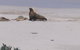 2-Day Kangaroo Island Tour From Adelaide - thumb 21