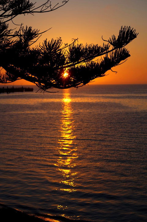 2-Day Kangaroo Island Tour From Adelaide - Southport Accommodation 14