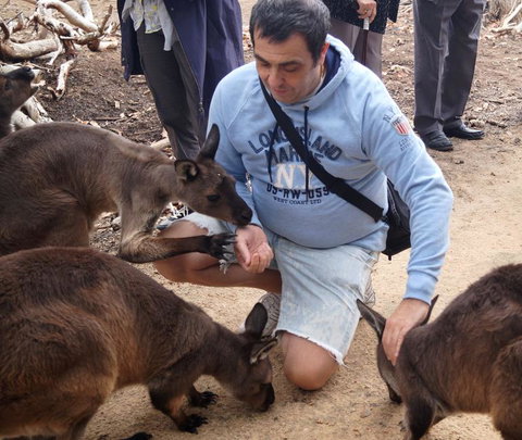 2-Day Kangaroo Island Tour From Adelaide - Southport Accommodation 15
