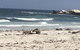 2-Day Kangaroo Island Tour From Adelaide - thumb 4