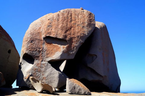 2-Day Kangaroo Island Tour From Adelaide - Southport Accommodation 11