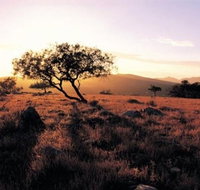 Adelaide To Coober Pedy 7 DAY SMALL GROUP 4WD SAFARI