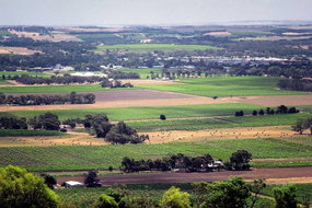 Book Adelaide SA Attractions Southport Accommodation Southport Accommodation