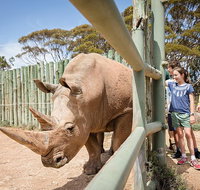 Rhino Interactive and a day at Monarto Safari Park