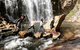 3-Day Grampians And Great Ocean Road Trip From Adelaide To Melbourne - thumb 8