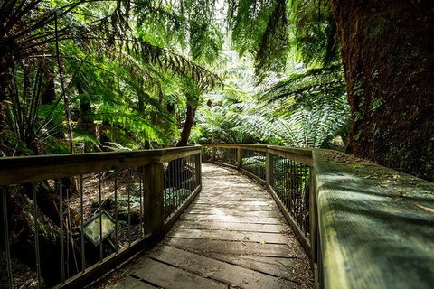 3-Day Adelaide To Melbourne Overland Trip Through Grampians And Great Ocean Road - Southport Accommodation 13