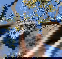 Exceptional Port Lincoln Seafood and Wildlife Tour - Accommodation Southport