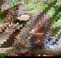 One Day Port Lincoln Tour - Tasting Eyre - Accommodation Southport