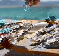 Experience Coffin Bay Short and Sweet Oyster Farm Tour - Accommodation Southport