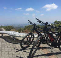 Mt Lofty Wine Wheels  Wildlife