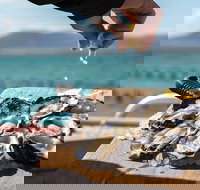 Experience Coffin Bay Oyster Farm and Bay Tour - Accommodation Southport