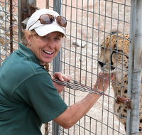 Cheetah Experience at Monarto Safari Park