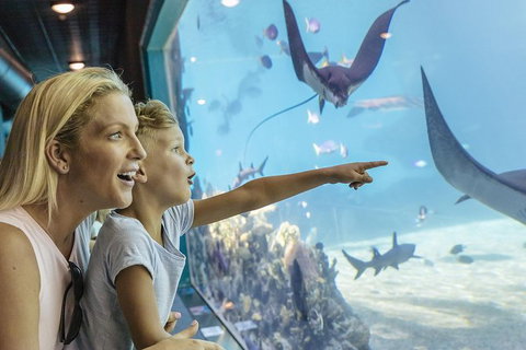 Gold Coast Theme Park Pass: Warner Bros. Movie World, Sea World And Wet'n'Wild - Southport Accommodation 1