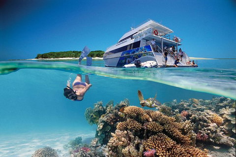 3-Day Southern Great Barrier Reef Tour Including Lady Musgrave Island - Southport Accommodation 0