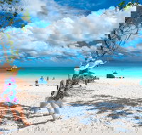 Whitehaven Beach Half-Day Cruises - Accommodation Southport