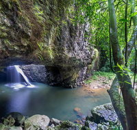 Springbrook andTamborine Rainforest Tour Incl Natural Bridge and Glow Worm Cave - Southport Accommodation