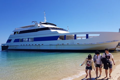 Moreton Island Day Trip (Kayak, Snorkel & Sandboard) Frm Brisbane Or Gold Coast - Southport Accommodation 10