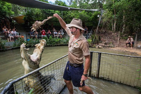 Full-Day Tour With Kuranda Scenic Railway, Skyrail Rainforest Cableway, And Hartley's Crocodile Adventures From Cairns - Accommodation Southport 1