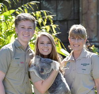 Koala Cuddle Adventure Croc 2 - Southport Accommodation