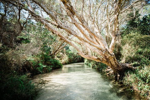 All-Inclusive 2-Day Fraser Island Tour - Southport Accommodation 11