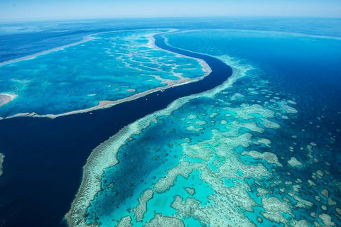 Fly & Cruise Package With Lunch - Southport Accommodation 6