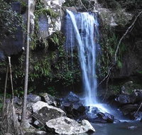 You Choose the Tour Brisbane Private Chauffeur Driven Personal Tour - Southport Accommodation