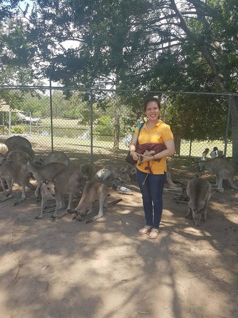 Lone Pine Koala Sanctuary Admission With Brisbane River Cruise - Accommodation Southport 17