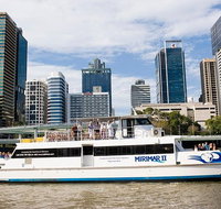 Lone Pine Koala Sanctuary Admission with Brisbane River Cruise - Southport Accommodation