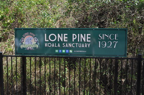 Lone Pine Koala Sanctuary Admission With Brisbane River Cruise - Accommodation Southport 7